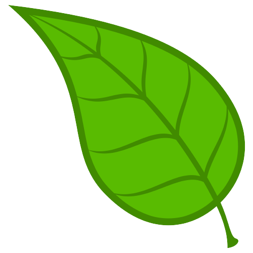 leaf